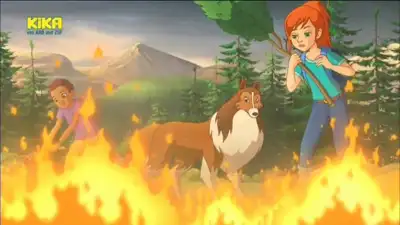 Forest Fire!