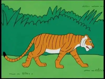 India - Tiger