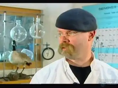 Scuba Diver and Car Capers