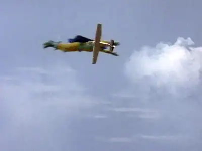 Those That Fly the Skies
