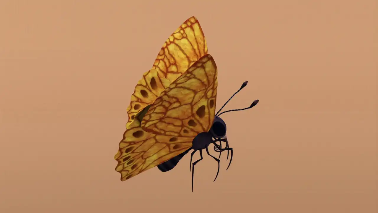 Butterflies