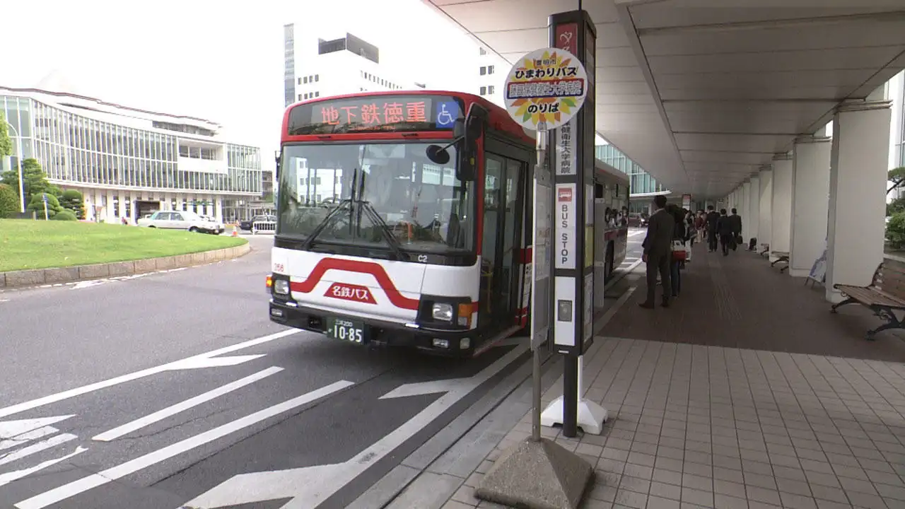 Buses