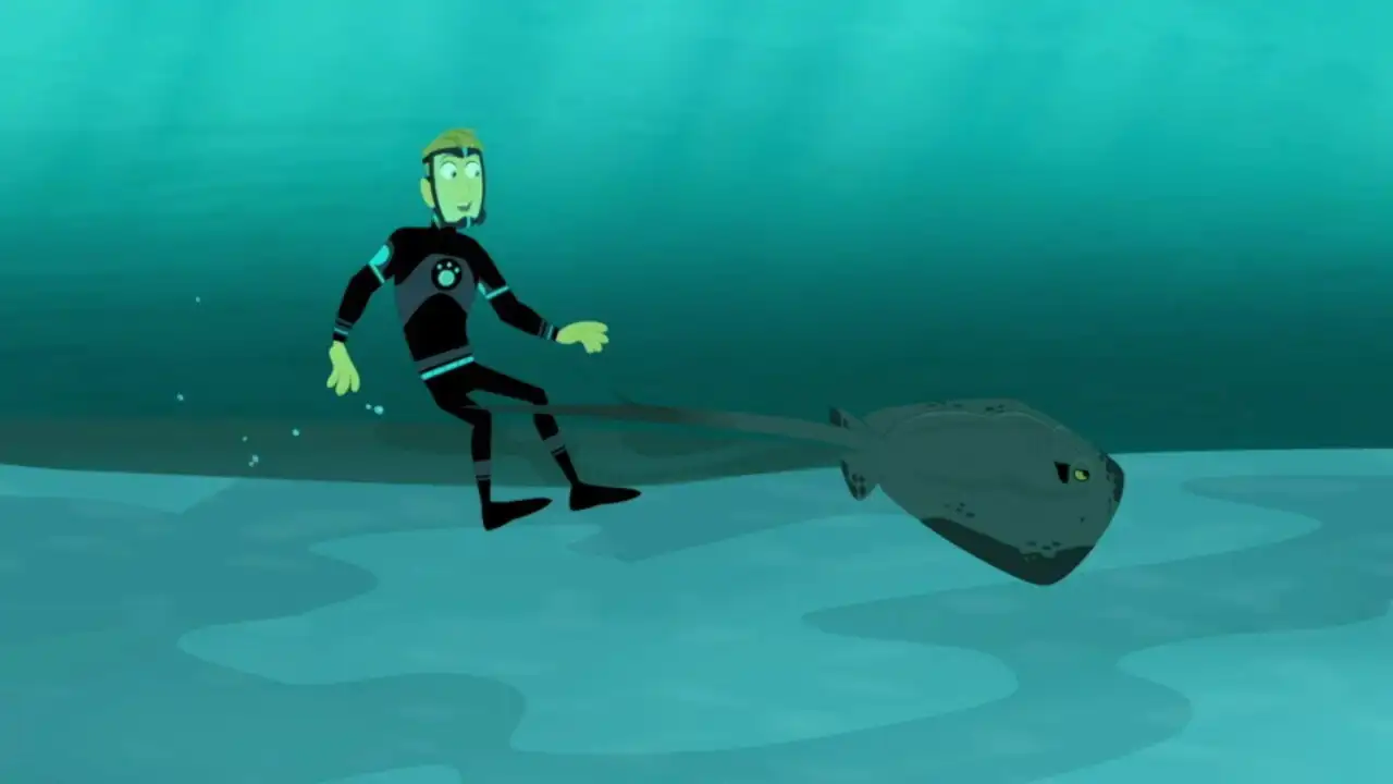 The Vanishing Stingray