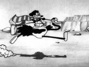 Gallopin' Gaucho
