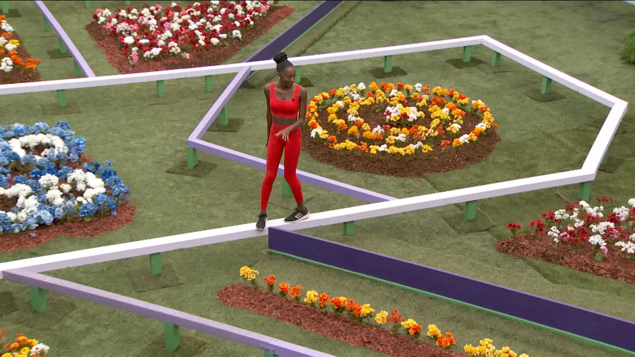 Live Eviction 6
