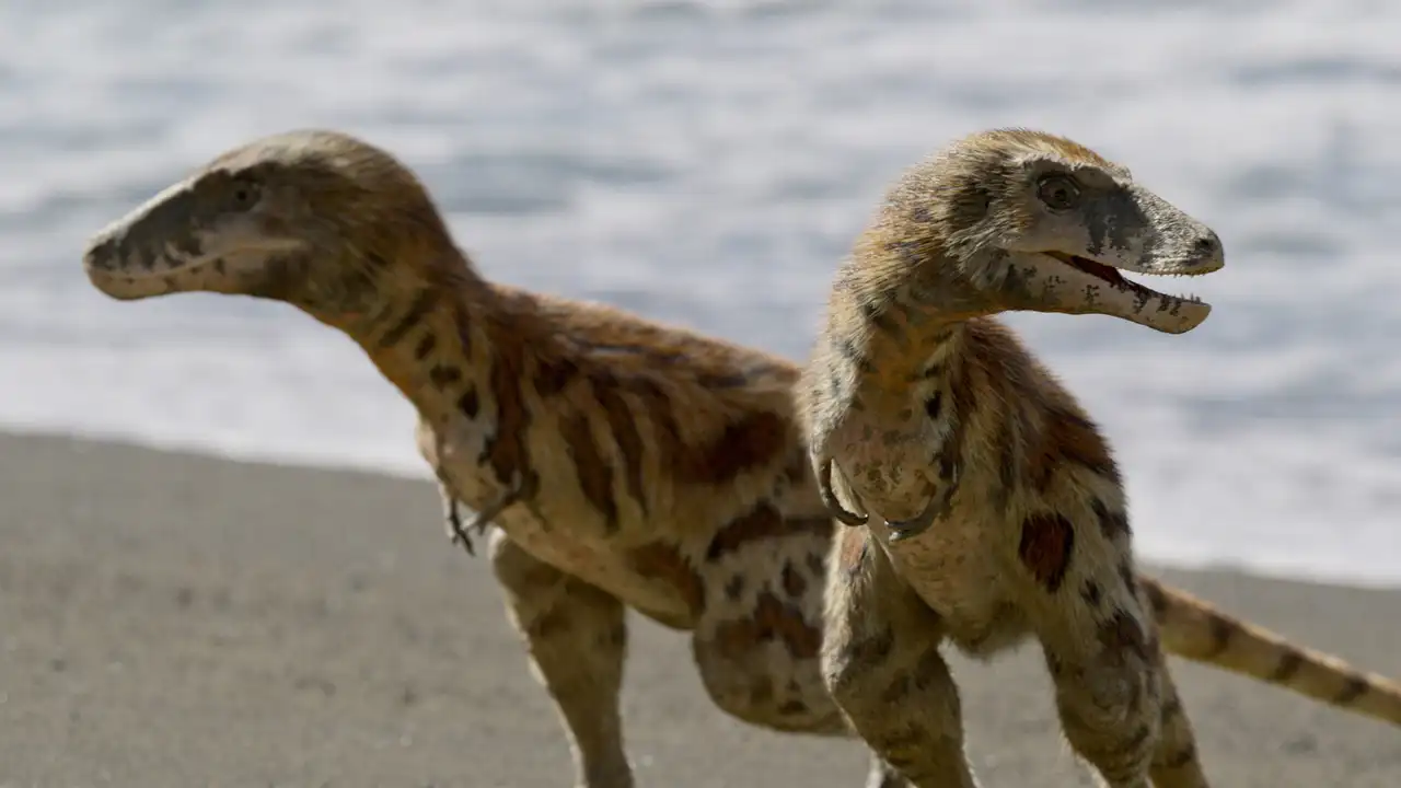 Uncovered: Could T. Rex Really Swim?