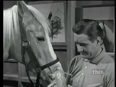 Bald Horse
