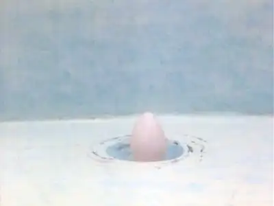 Pingu Helps With Incubating