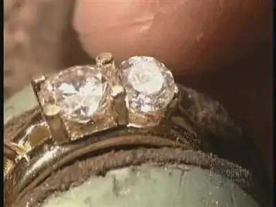 Winter Jackets, Animation, Mushrooms, Gold Rings