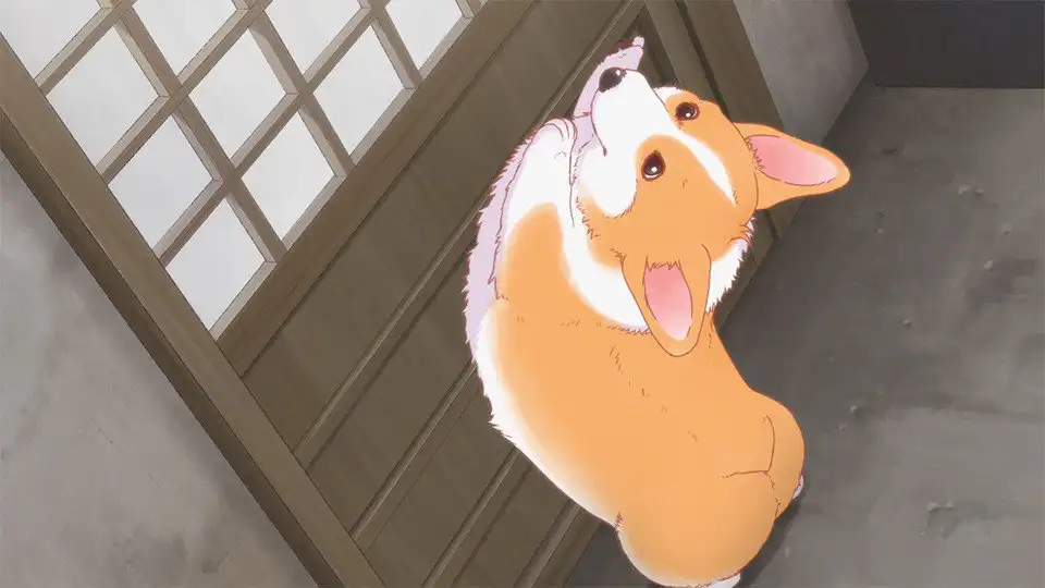Episode 13
