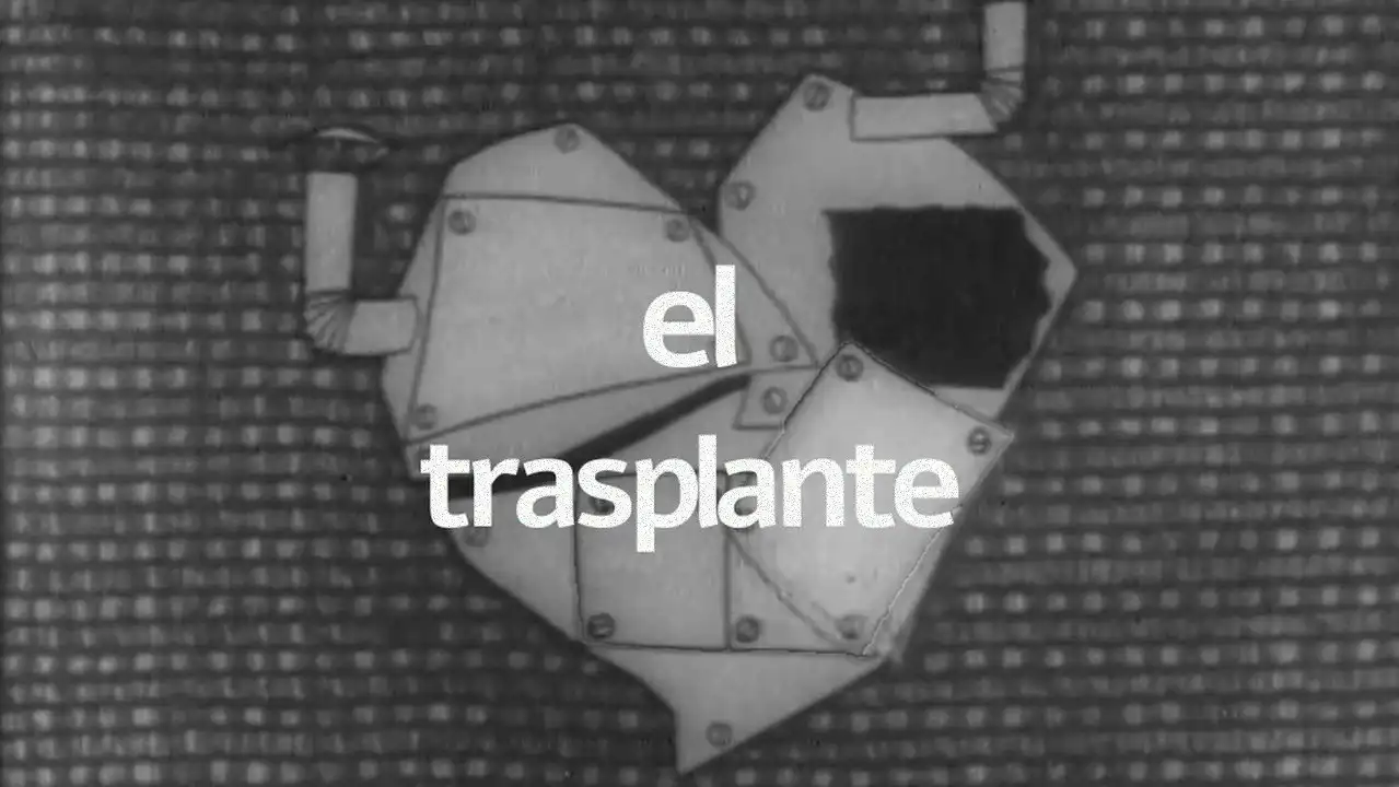 The Transplant