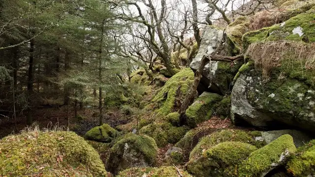 Extra: The Making of Eden