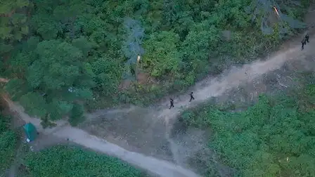 A Fearless Charge