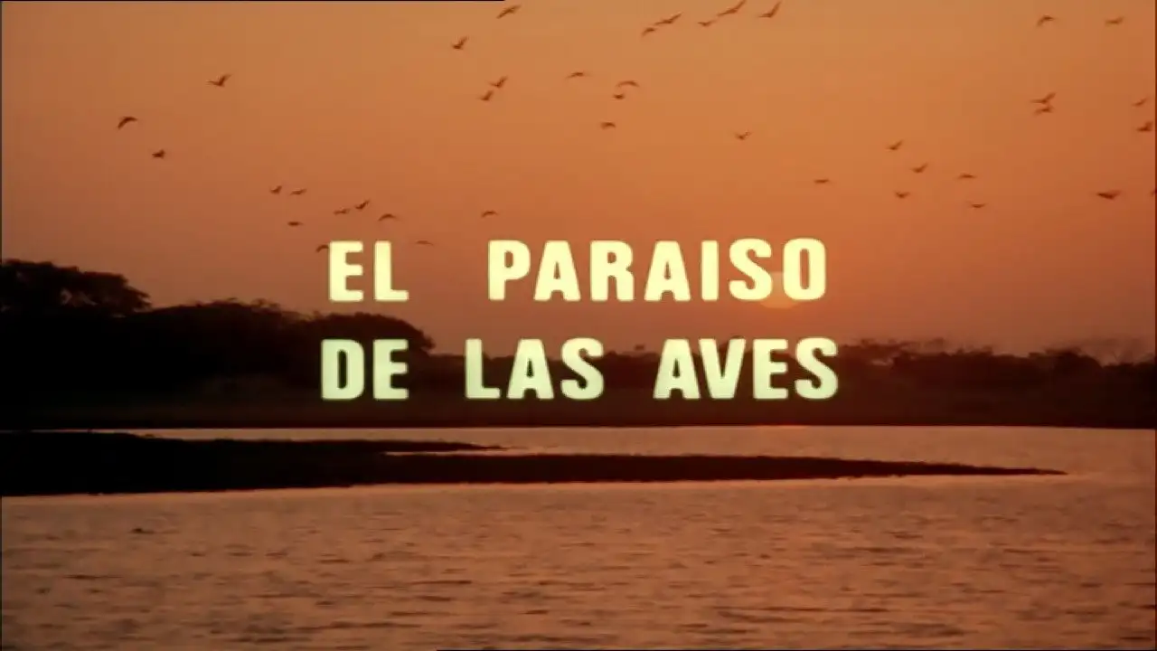 The Paradise of the Birds
