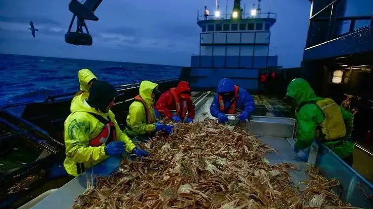 Bering Sea Crash
