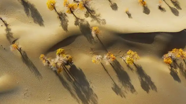 Episode 17