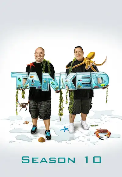 Season 10
