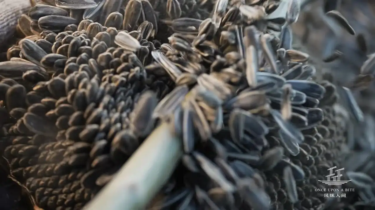 Grain Harvest