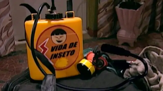 Vida de Inseto