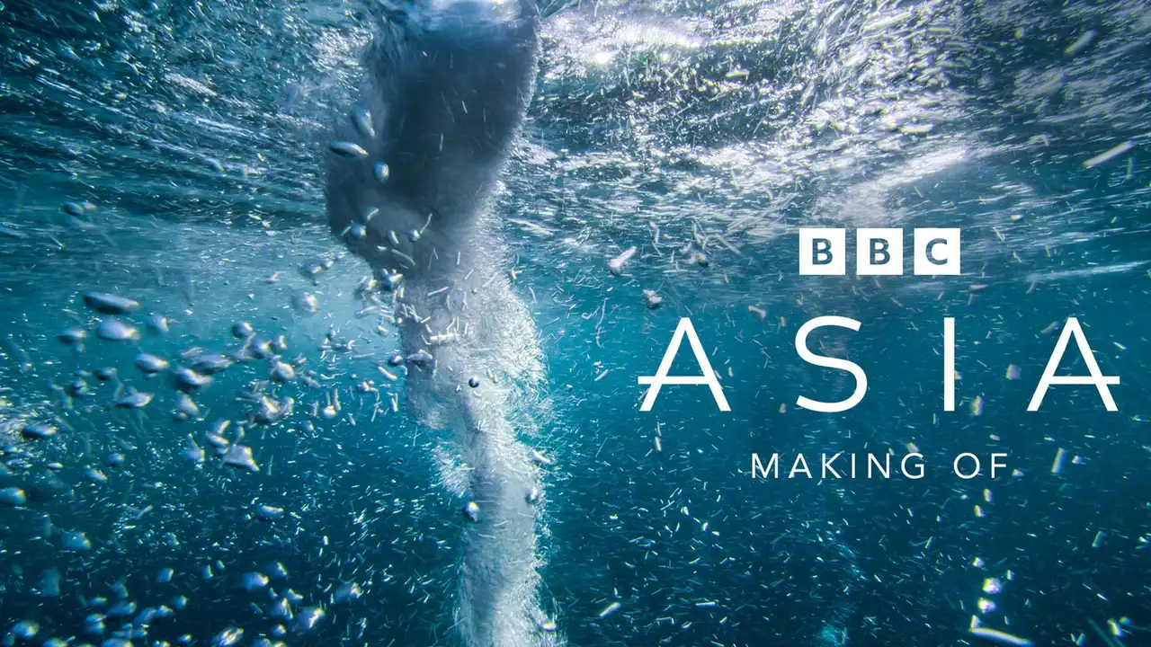 The Making of Asia