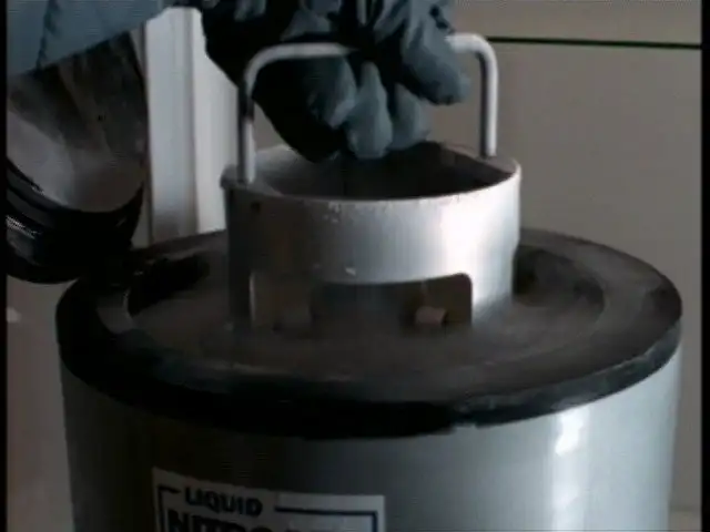 Behind the truth - The Erlenmeyer flask