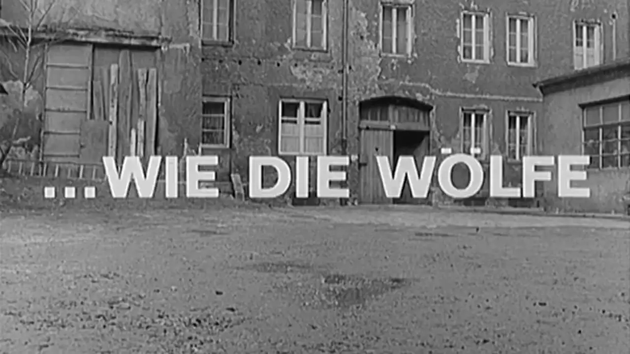 ...wie die Wölfe