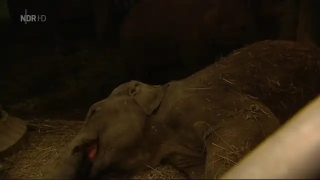 Episode 19