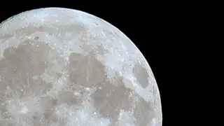 Moon for Sale