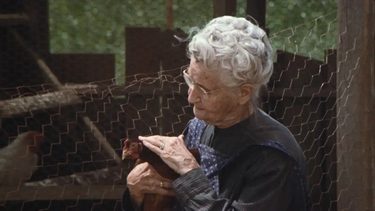 The Chicken Thief