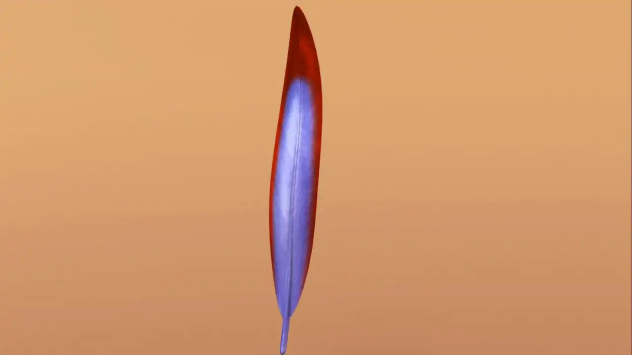 Now with Feathers!