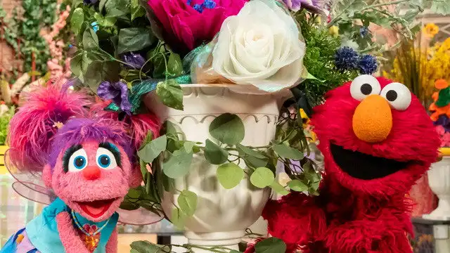 Abby's Garden Party
