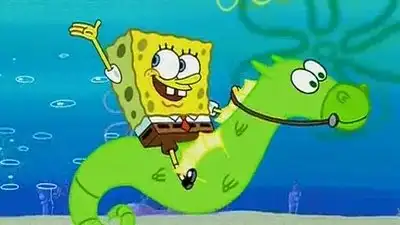 My Pretty Seahorse