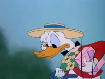 Crazy Over Daisy