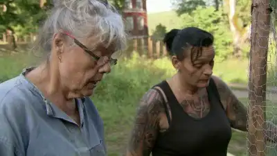 Episode 11