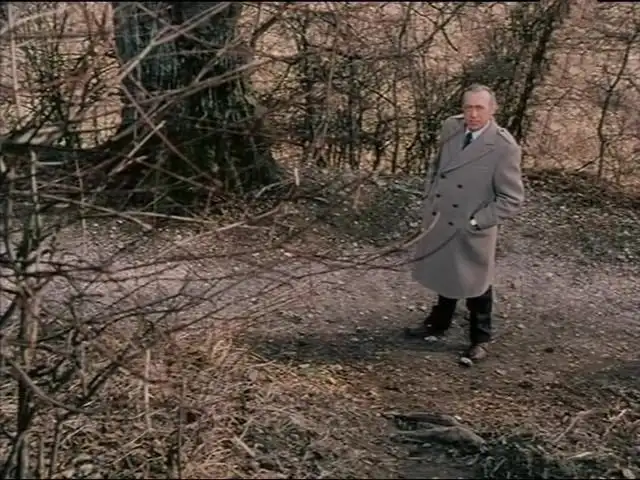Waldweg