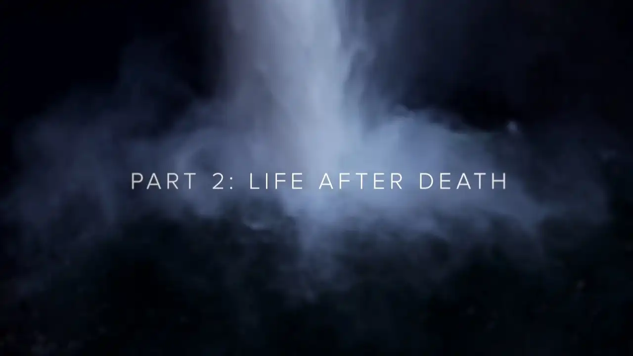 Twin Peaks: The Phenomenon Part 2