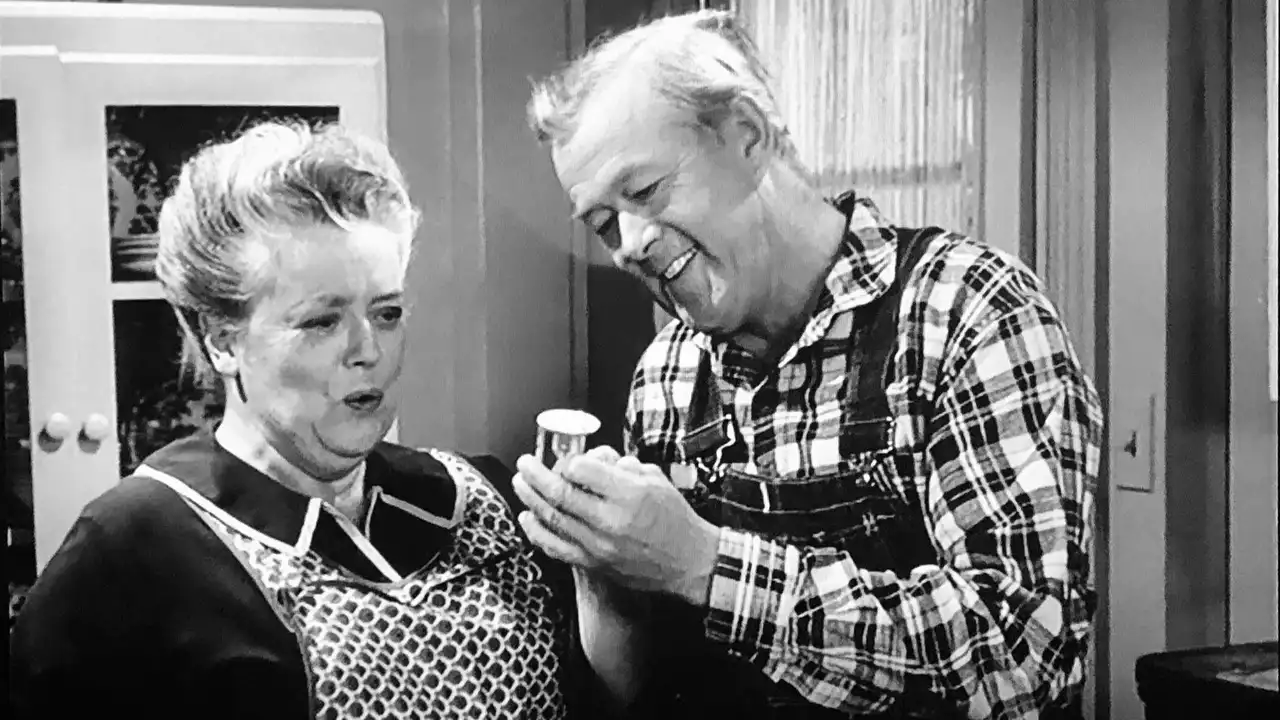Aunt Bee's Invisible Beau