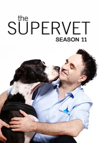 Season 11