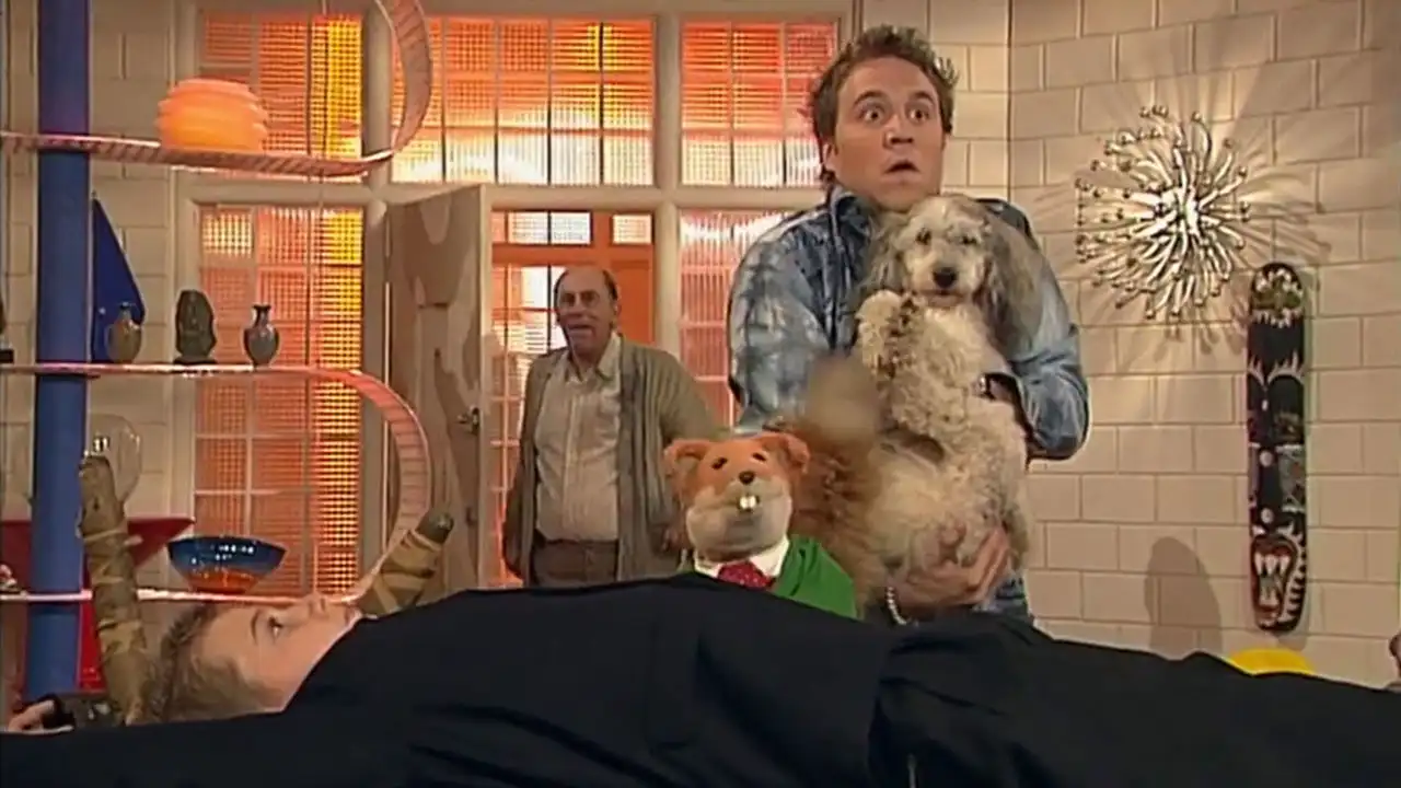 Dog Gone
