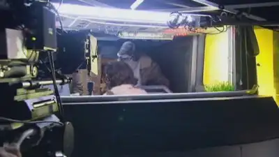Are We There Yet?