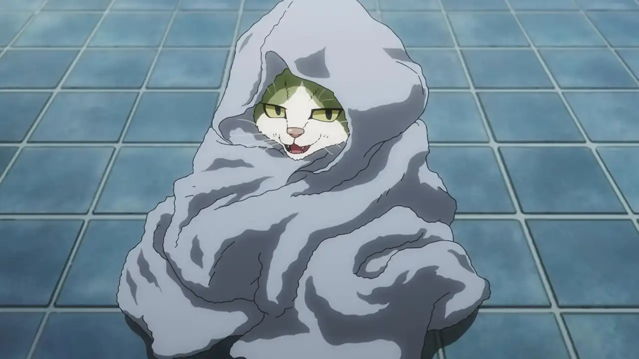 Commeowndo