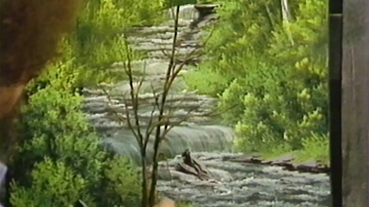 Quiet Stream