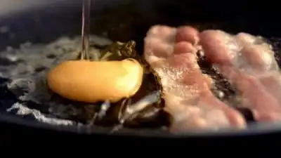 Did Cooking Make Us Human?
