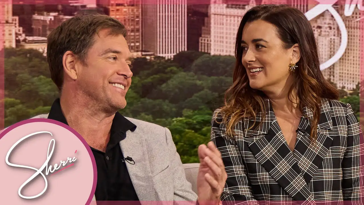 John Corbett, DeVon Franklin, Michael Weatherly, Cote de Pablo