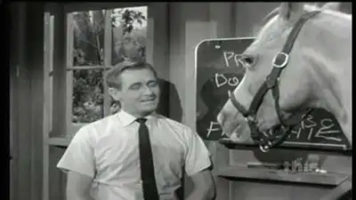 Horse Party