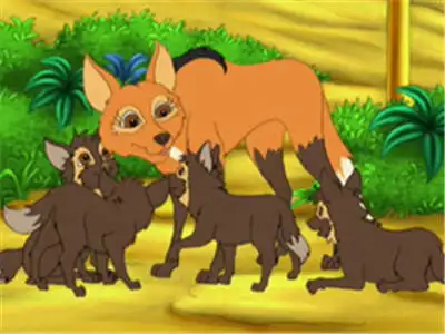 Diego's Wolf Pup Rescue