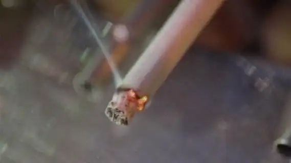 Search for a Safe Cigarette