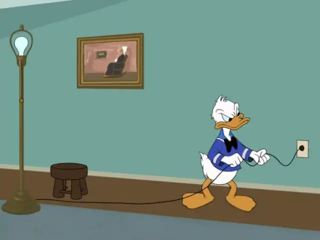 DIY Duck