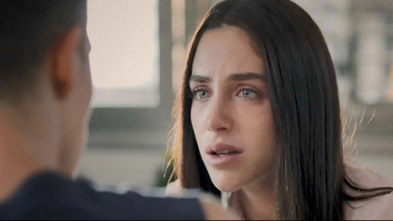 Apricot Cake