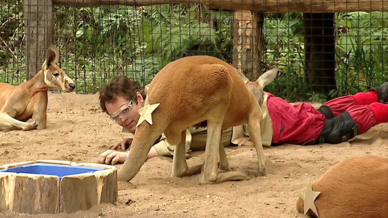 Kangaroo Court